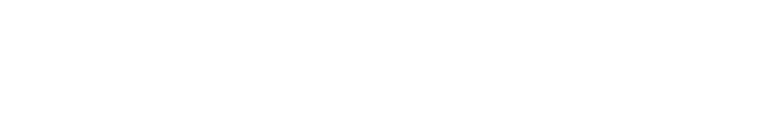 DynaGraphics White Logo